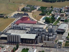 Cantine due Palme, il Primitivo è per la Puglia il passepartout per molti mercati 