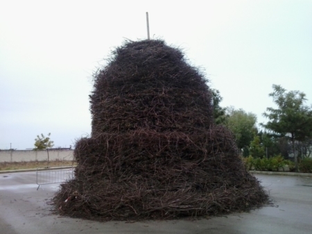 Ritorna la f�cara di Sant'Antonio