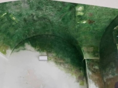 Muffe nel Museo del Negroamaro, l’opposizione chiede soluzioni urgenti