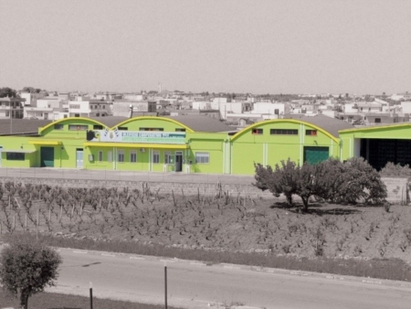 AIUTI ECONOMICI AGLI OLIVICOLTORI