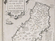 Breve storia di Salice