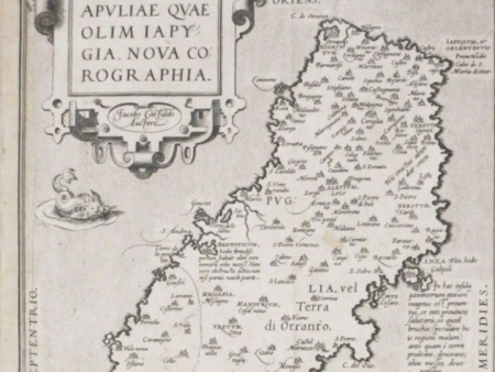 Breve storia di Salice