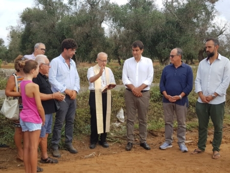 Salento, ecco gli ulivi resistenti alla Xylella
