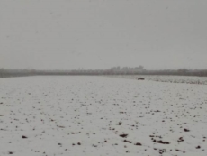 Agricoltura sottozero, danni agli ortaggi