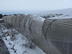 Agricoltura, è iniziata la conta dei danni