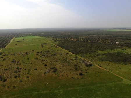 Lupomonaco, c�� l�iter regionale per il riconoscimento del Sito di Importanza Comunitaria