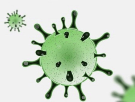 I laboratori dell'Istituto Zooprofilattico Sperimentale di Puglia e Basilicata hanno isolato e sequenziato il genoma di due virus SARS COV 2