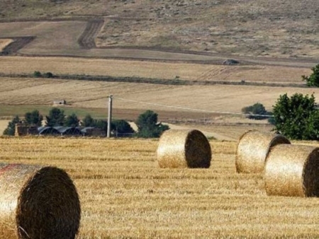 Programma di sviluppo rurale, aiuti alle attivit extra-agricole: stanziati ulteriori 20 milioni