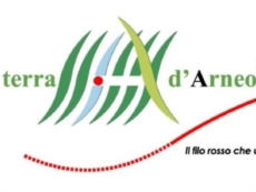 Progetto "Erasmus+ Gal Terra d’Arneo": 19 borse di studio con destinazione Olanda, Spagna, Albania e Malta