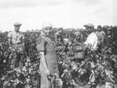 Tradizione e innovazione fino alla conquista di un’identità simbolo