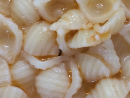 Insetti nella minestra dei bambini