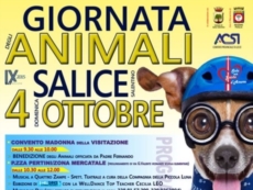 Benedizione degli animali e Mercatino dell’antiquariato nella giornata di San Francesco