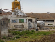 Lastre di amianto sull'ex porcilaia, Rosato contesta l’Amministrazione
