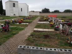 “Campo indecomposti nell’abbandono”, Comune sotto accusa