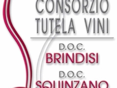 "Le pratiche e i comportamenti illegali non possono pregiudicare la genuinità e la qualità dei vini Dop e Igp del Salento"