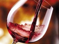 Coronavirus, la filiera del vino scrive alla Ministra Bellanova
