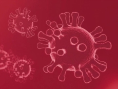Coronavirus: Enea, Iss e Snpa lanciano il progetto “Pulvirus” su legame fra inquinamento e Covid -19