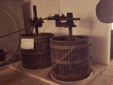 Guagnano, domani torna in attività il "Museo del Negroamaro" con l’innovativo progetto “HostAria”