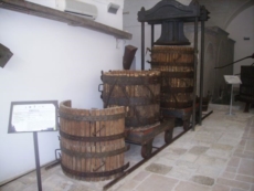 "Vignaculturae", itinerari doc nelle Terre del Negroamaro